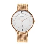 Titan Black and Gold Silver Dial Analog Stainless Steel Strap Watch for Men-NS1849WM01