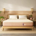 Wakefit ErgoTech EcoLatex Classic Mattress – 10 Years Warranty, Double Bed, Natural Latex, 6-Inch Queen Size (78x60x6 Inches), Firm, 7-Zone
