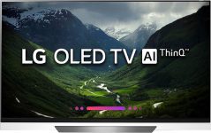 LG 164 cm (65 inch) OLED Ultra HD (4K) Smart WebOS TV(OLED65E8PTA)
