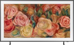 Samsung The Frame 165.1 cm (65 inch) QLED Ultra HD (4K) Smart Tizen TV with 2024 Model(QA65LS03DAULXL)