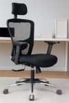 CloudSit™ Ergonest Ergonomic Office Chair Intelli-Adapt Recline, 2D Armrest, Adjustable Lumbar & Headrest Mesh Back Moulded Foam Seat 3-Year Warranty 2 Free EMC in 2 Years (Black)