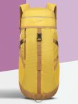 SKYBAGS MOUNT RUCKSACK 45L-MUSTARD Rucksack  – 45 L(Yellow)