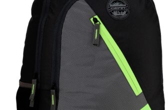 Gear Blocky 31 L Laptop Backpack(Multicolor)