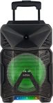Intex Multimedia Speaker T-300 Pro 30 W Bluetooth Party Speaker(Black, Stereo Channel)