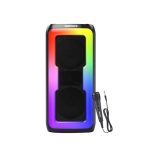 GIZMORE MS530 Play 30W with Karaoke Wired Mic BT Speaker|6HOUR Play Time|Loud & Clear Stereo Sound|Vivid RGB Lights|BT/USB/SD Card Playback, Portable & Type C Fast Charging (Black)