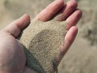 SANJUS Organic Natural 100% Pure River sandOrganic Natural River Sand for Gardening Ideal for Cactus Succulent Bonsai Adenium Potting Soil Mix 5Kg