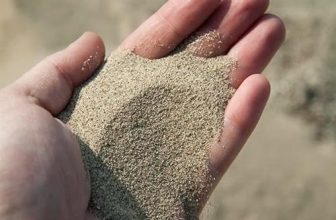SANJUS Organic Natural 100% Pure River sandOrganic Natural River Sand for Gardening Ideal for Cactus Succulent Bonsai Adenium Potting Soil Mix 5Kg