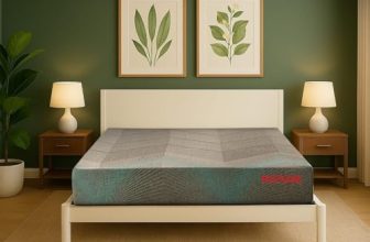 Repose Eyelidz Spine Pro Orthopaedic Memory Foam Mattress (Double, 75X48X6)