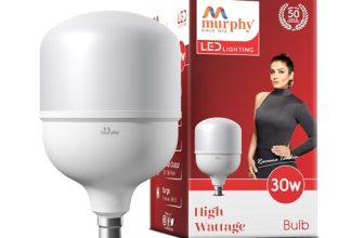 Murphy 30W B22D Led Bulb (Warm White)