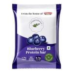 Ayurvedant Blueberry Protein Bar, 6.7g High Protein, No Added Sugar, Energy Snack for Gym & Fitness, 20g