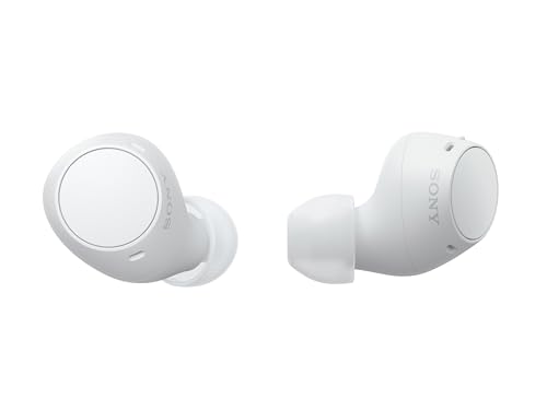 Sony WF-C510 Wireless Bluetooth Earbuds with Mic, TWS, in Ear, Ambient Sound Mode, Small and Comfortable, IPX4, Quick Charge, Multipoint Connectivity, Customized EQ, Up to 22 Hours Battery- White
