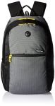 Gear Basic 19 Ltrs Classic Grey Casual Standard Backpack (Bkpecono10412)