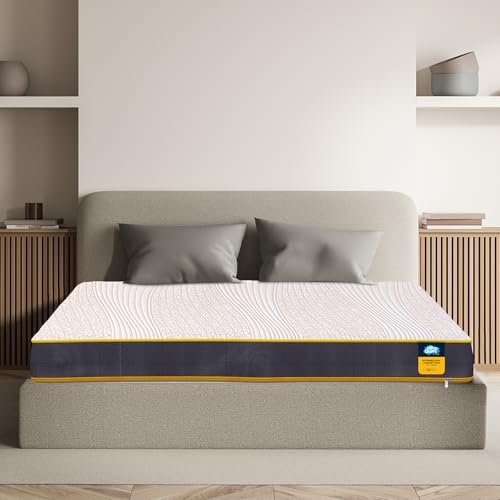 LG FHD 63.5 cm (25 inch) Full HD IPS Panel with Height Adjustable Stand, Flicker Safe, Eye Comfort, Dynamic Action Sync, Black Stabilizer, Built-in Speakers -Black Monitor (25MS550-BB.ATRRJVN)(Response Time: 5 ms, 100 Hz Refresh Rate)