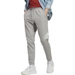 Adidas Men Cotton ESS LGO T P SJ, Sports Pants, MGREYH, Large