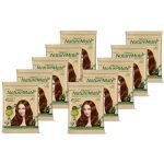 Nisha Nature Mate Natural Brown Henna Based Hair Color | Ammonia Free & No Resorcinol Hair Colour | Long Lasting Grey Coverage | Smooth, Silky & Shiny Hair | Salon-Like Results | 10g x 10 Packs