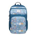 F Gear Akira Aqua Blue 26L Backpack, 3 Spacious Compartments, 3 Pockets and 1 Hidden Pocket|Anti theft Backpack|Airflow Padded Back Panel|Lightweight & Durable|Ideal for Office, Daily Use & Travel