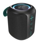 ZEBRONICS Sonic Pod 15 Plus Bluetooth Speaker, 8W RMS, 5H Backup, Type-C Charging, RGB Modes, Passive Radiator, Splash-Proof, BT v5.4, USB, mSD, TWS, Call Function, Fabric Finish, Carry Loop (Black)