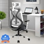 ASTRIDE Ergofit BIS Certified Ergonomic High Back, Synchro Tilt Mechanism Mesh Office Adjustable Arm Chair(Grey, Optional Installation Available)