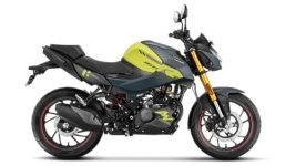 Hero Xtreme 160R 4V Double Disc Bike Booking for Ex-Showroom Price (Neon Shooting Star)