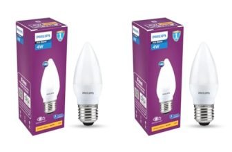 PHILIPS 4W LED Frosted Candle Bulb | Warm White 3000K | E4 Base | Energy Efficient Decorative LED Light | Soft Glare-Free Illumination | Pack of 2