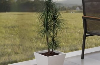 Lifelong Home Decor Planters with Tray – Living Room & Balcony |14 Inch Flower Pot | Decorative Indoor & Outdoor Planter for Plants – Gamla, Pot Stand for Home & Garden|Ideal for Small & Large Plants
