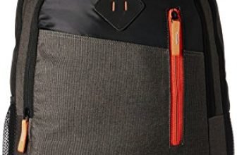 Gear 20 Cms Grey And Orange Casual Standard Backpack (Bkpdual000406), 30 Litre
