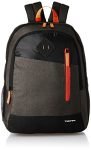 Gear 20 Cms Grey And Orange Casual Standard Backpack (Bkpdual000406), 30 Litre