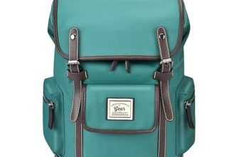 Gear Classic 16.5″/21L Medium Water Resistant Faux Leather Anti Theft Knapsack | Laptop Bag | Casual Bag | Travel Bag for Men/Women (Green – Brown)