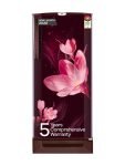 Godrej 185 L Direct Cool Single Door 5 Star Refrigerator  with 22L Jumbo Vegetable Tray Advanced Inverter Technology 2.5L Bottle Space(Mystic Wine, RD 195EN TAI MY WN)