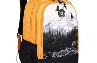Gear Alpine 19″/39L Large Water Resistant School Bag/College Bag/Casual 4 Compartment Backpack/Daypack/Travel 4 Compartment Backpack/Kids Bag for Boys/Girls (Yellow-Black)
