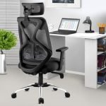 ASTRIDE Ergofit Ergonomic Office Chair for Home | 3-Years Warranty | 2D Headrest, Adjustable Arms & Lumbar Support | Tilt Lock Mechanism [Heavy Duty Chromium Metal Base, Black]